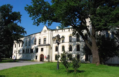 Stary Zamek w Żywcu